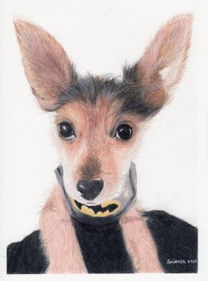 Commission Custom 6x8" Coloured Pencil Pet Portrait Drawing (Single Pet)