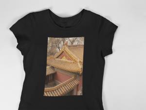 Asian Roofs T Shirt