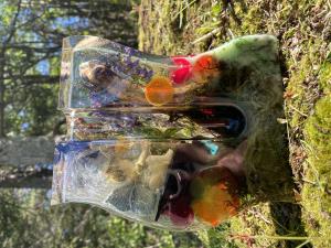 Fairy Garden Bud Vase/ Propagation Station