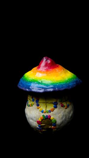 Rainbow Mushroom House Stash Jar