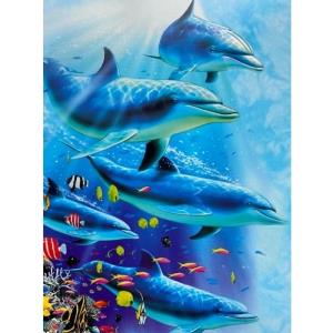 Dolphin Family - Kenaf Card