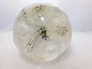 Dragonfly Sphere Globe